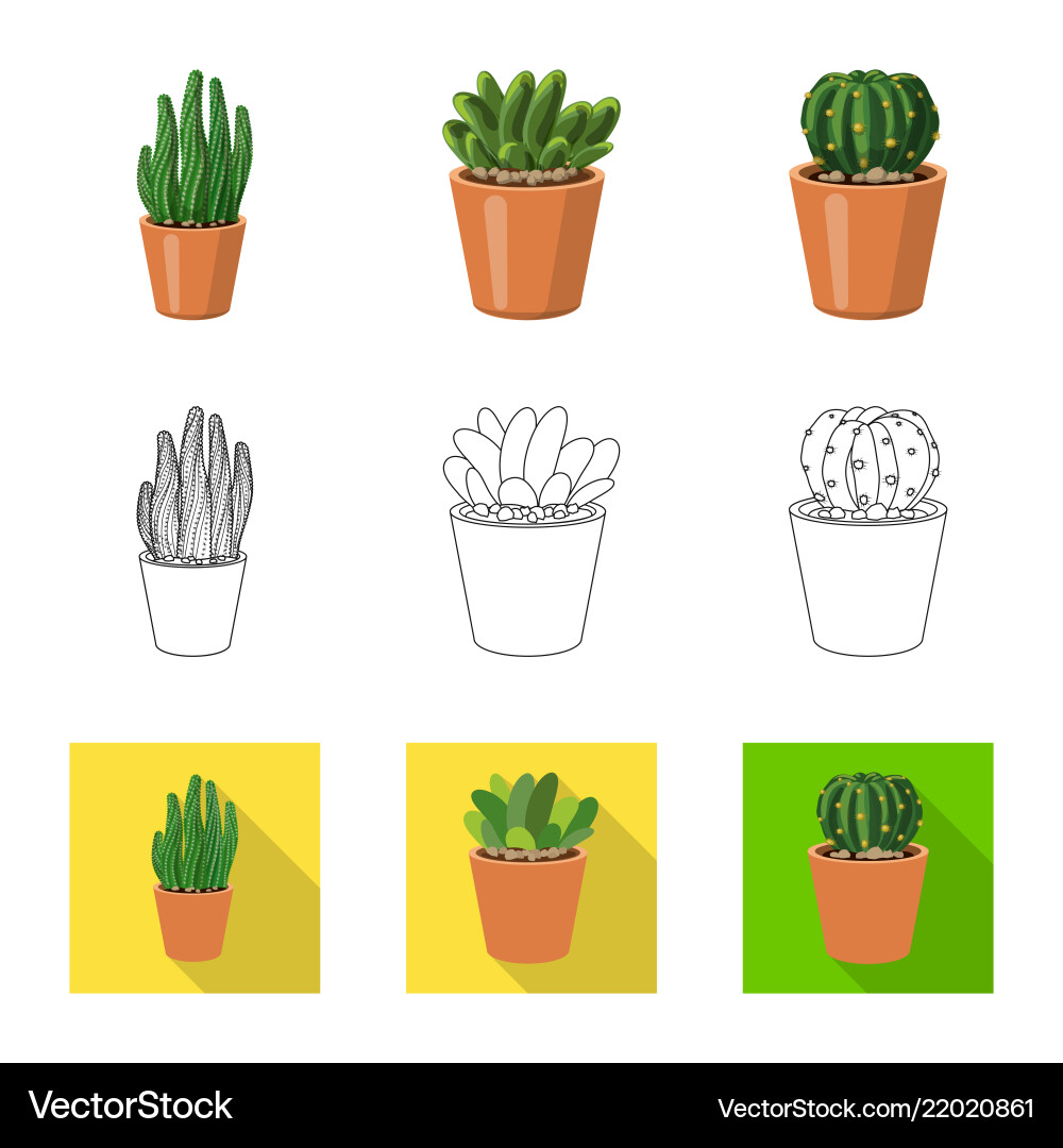 Isolated object of cactus and pot icon collection Vector Image