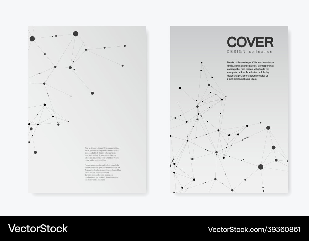 Polygonal abstract background with connected line Vector Image