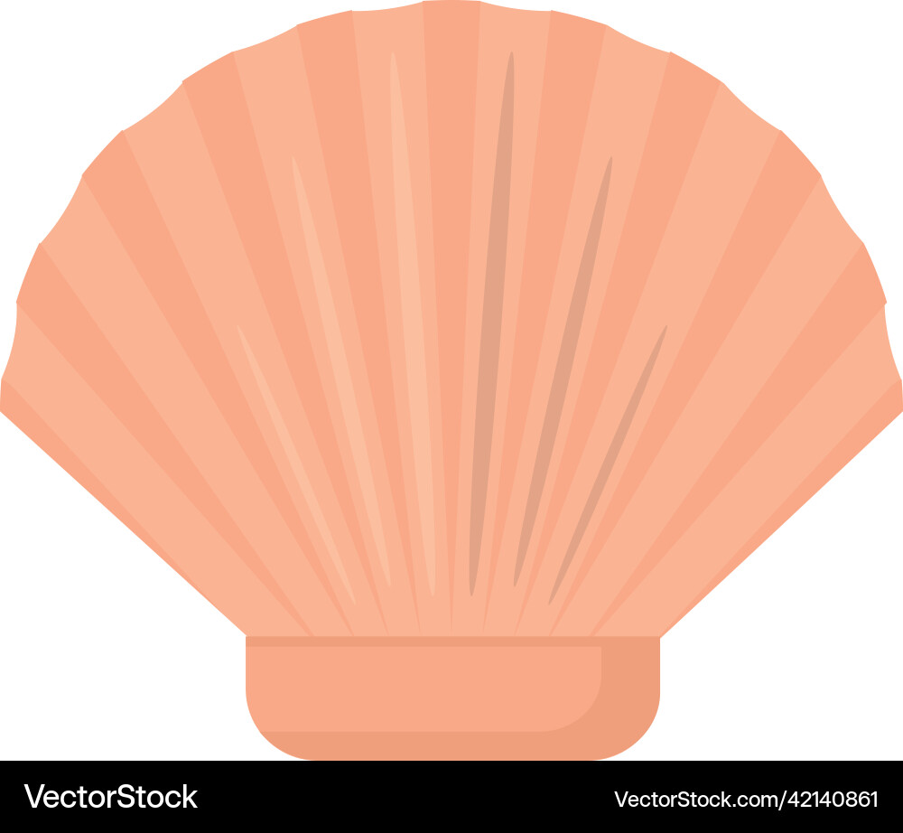Seashell icon image Vector Image