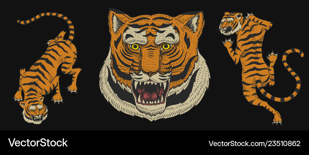 Asian tigers in vintage japanese style for logo Asian tigers in vintage japanese style for logo vector image