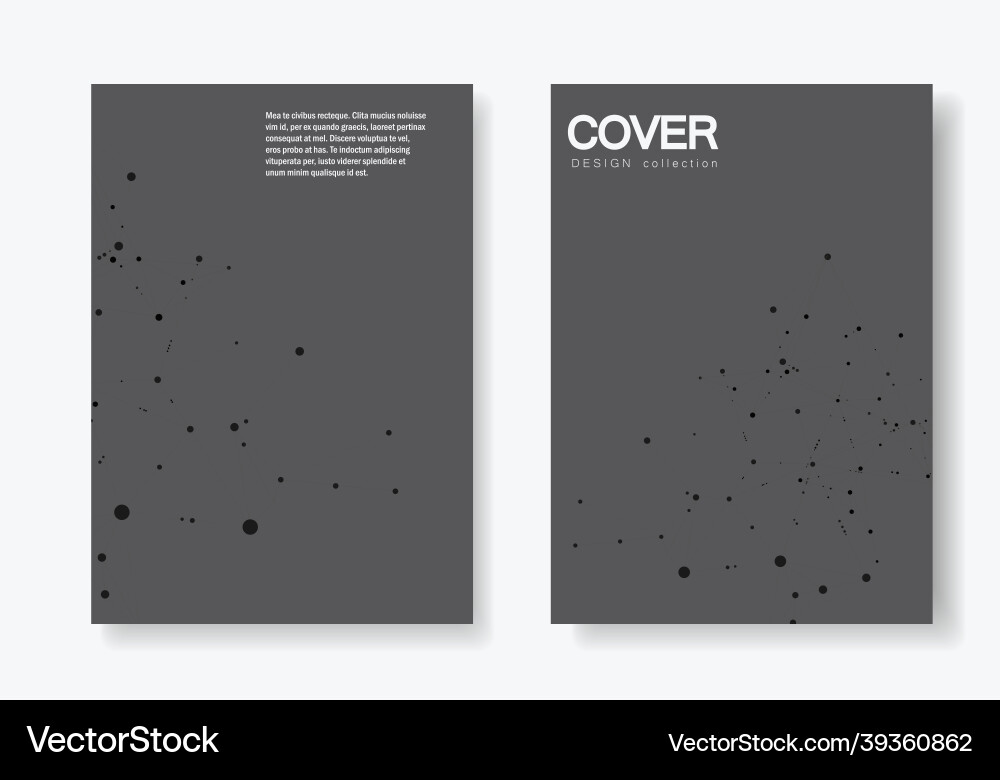 Polygonal abstract background with connected line vector image
