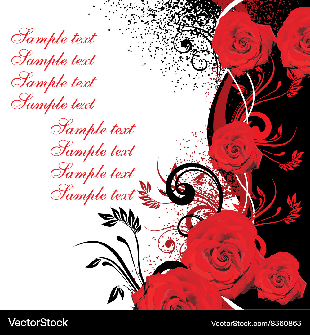 Red rose design with text space Vector Image