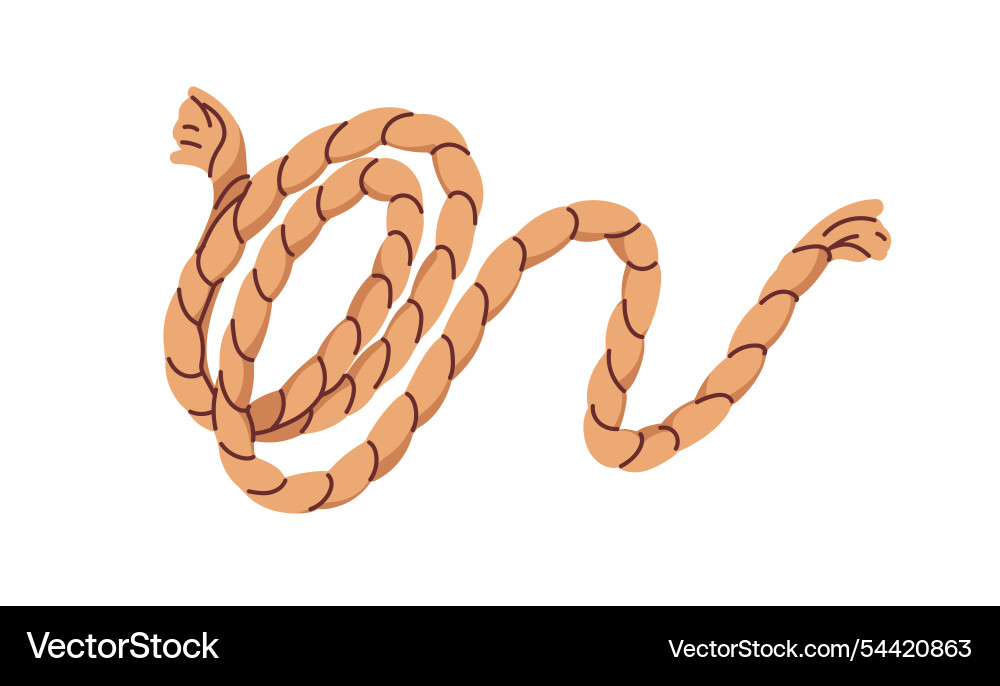 Rope coiled cord lasso with strong loop durable vector image