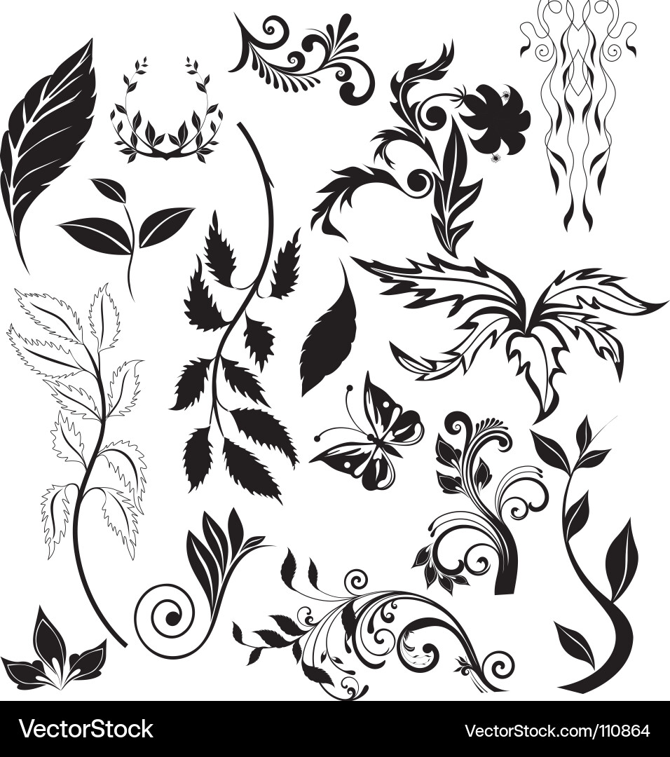 Elegant Swirls and Loops vector image
