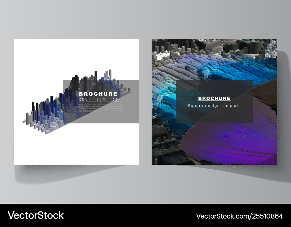 Minimal layout two square format covers Vector Image