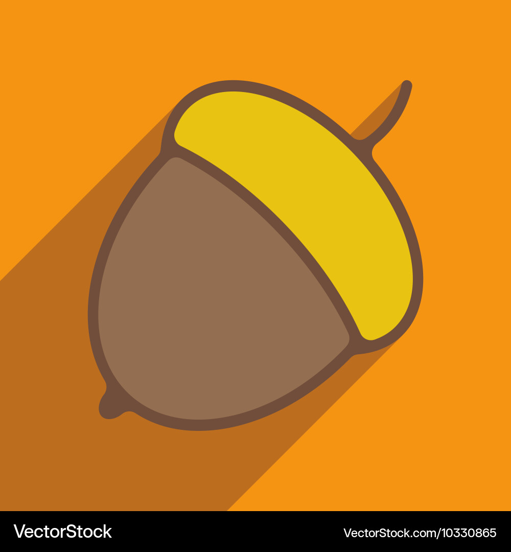 Flat with shadow icon and mobile application acorn Vector Image