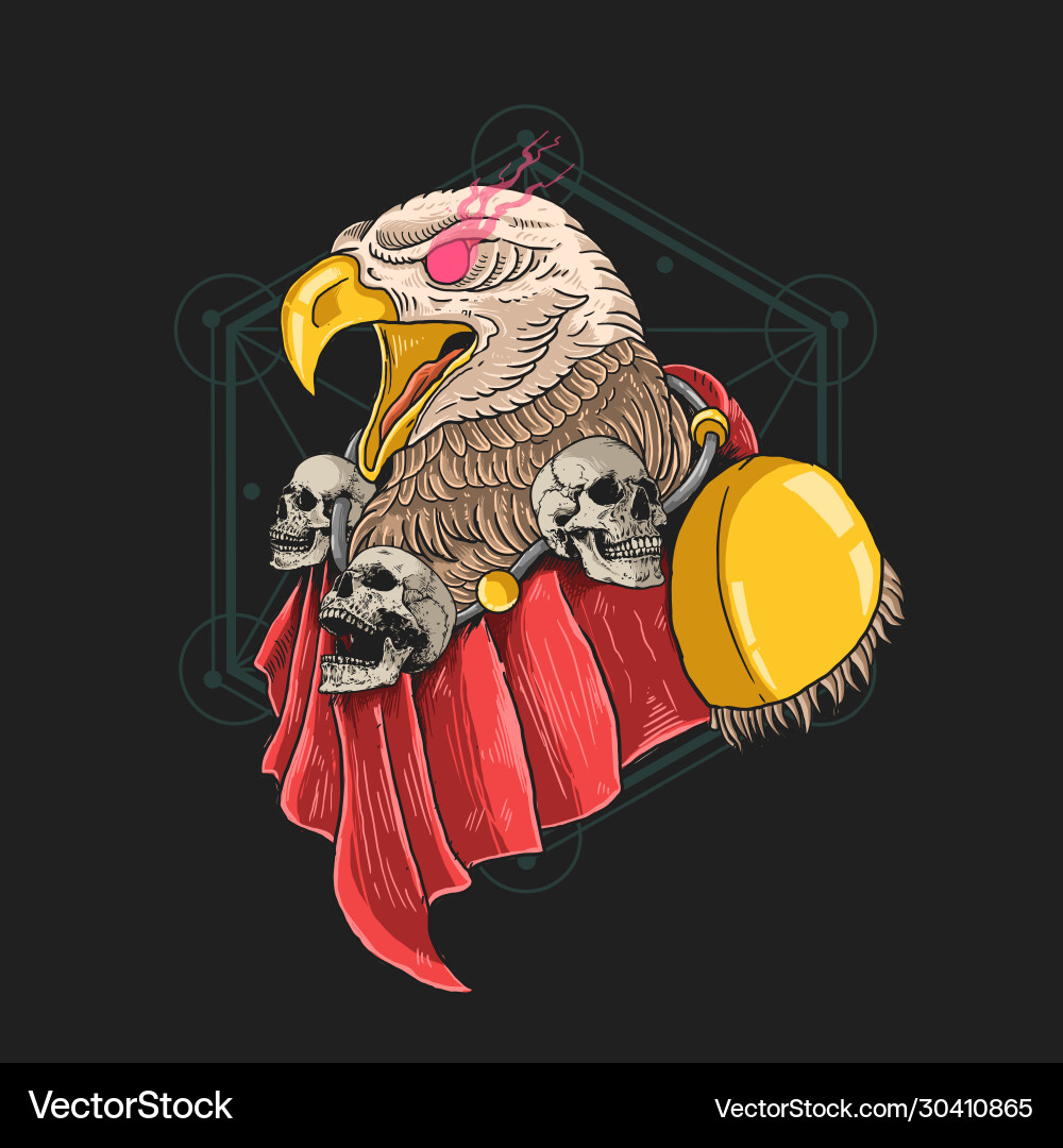 Guardian eagle angry head heroes vector image
