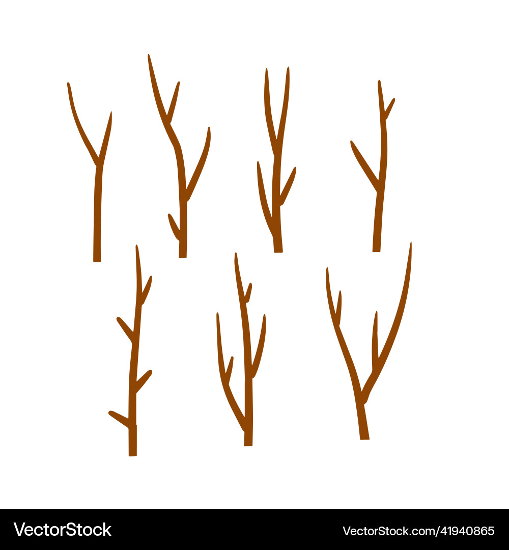 Tree branch set of different brown sticks vector image