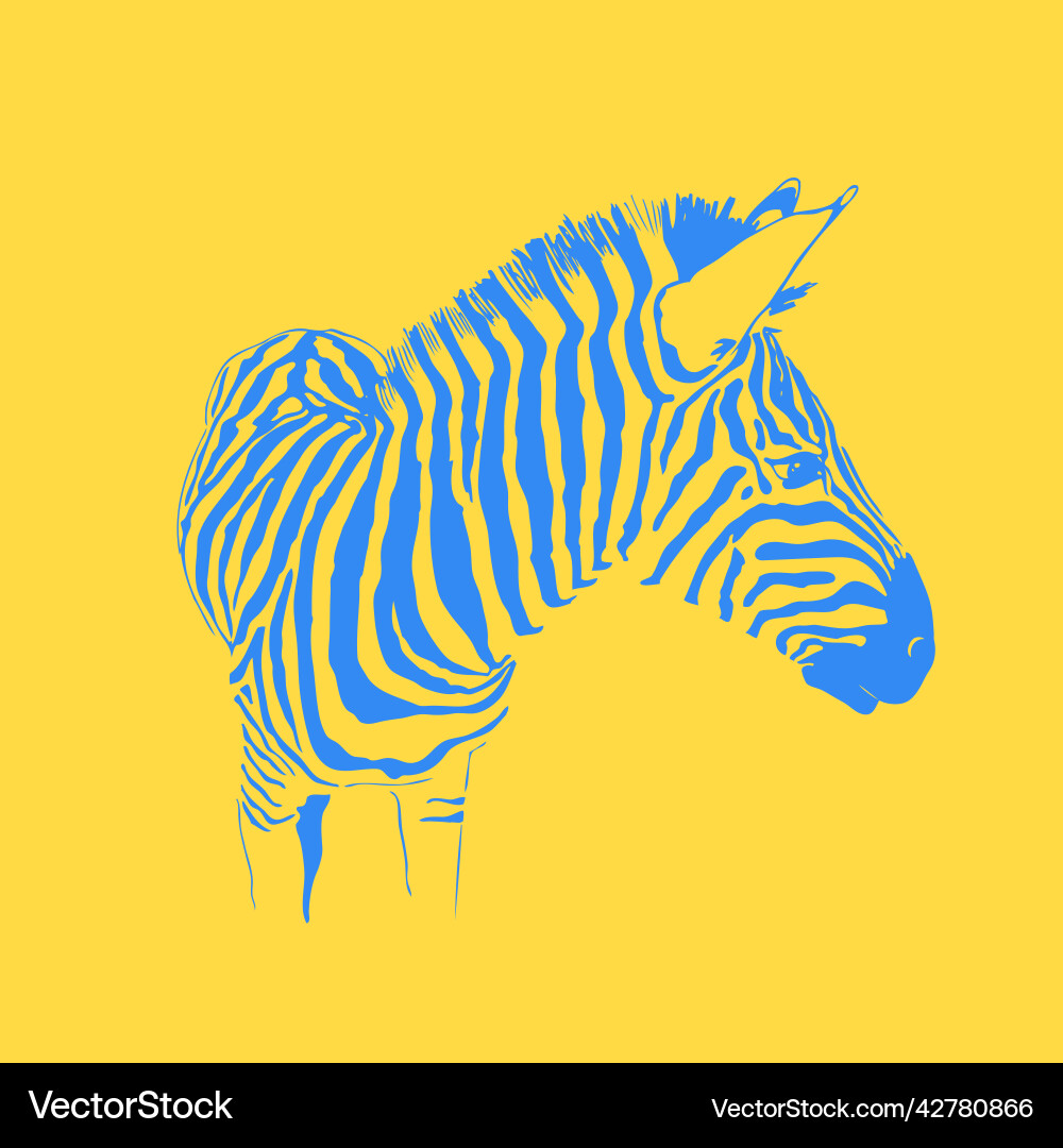 Graphical portrait of zebra in pop art style Vector Image