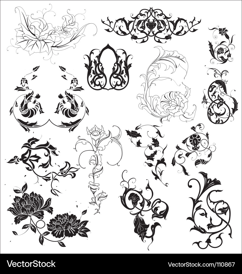 Floral elements Royalty Free Vector Image - VectorStock