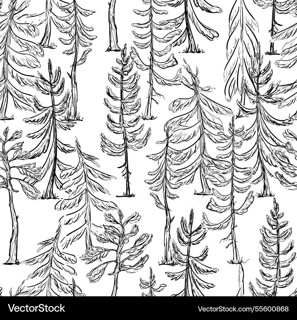 A seamless pattern featuring outline sketch spruce Vector Image