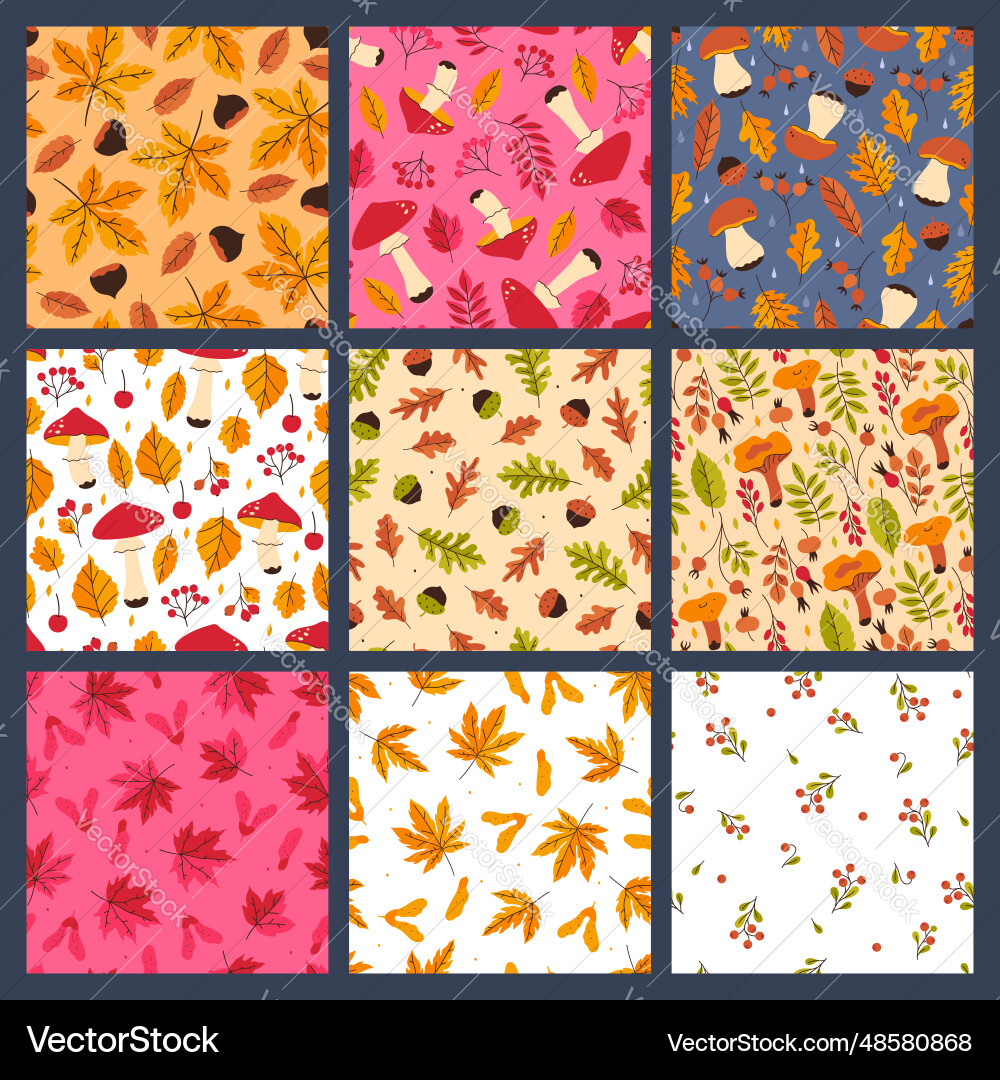 Set of seamless patterns with autumn mushrooms Set of seamless patterns with autumn mushrooms vector image