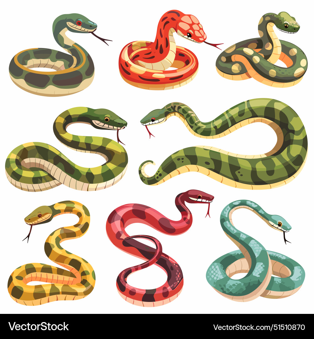 Assortment cartoon snakes various colors patterns Vector Image