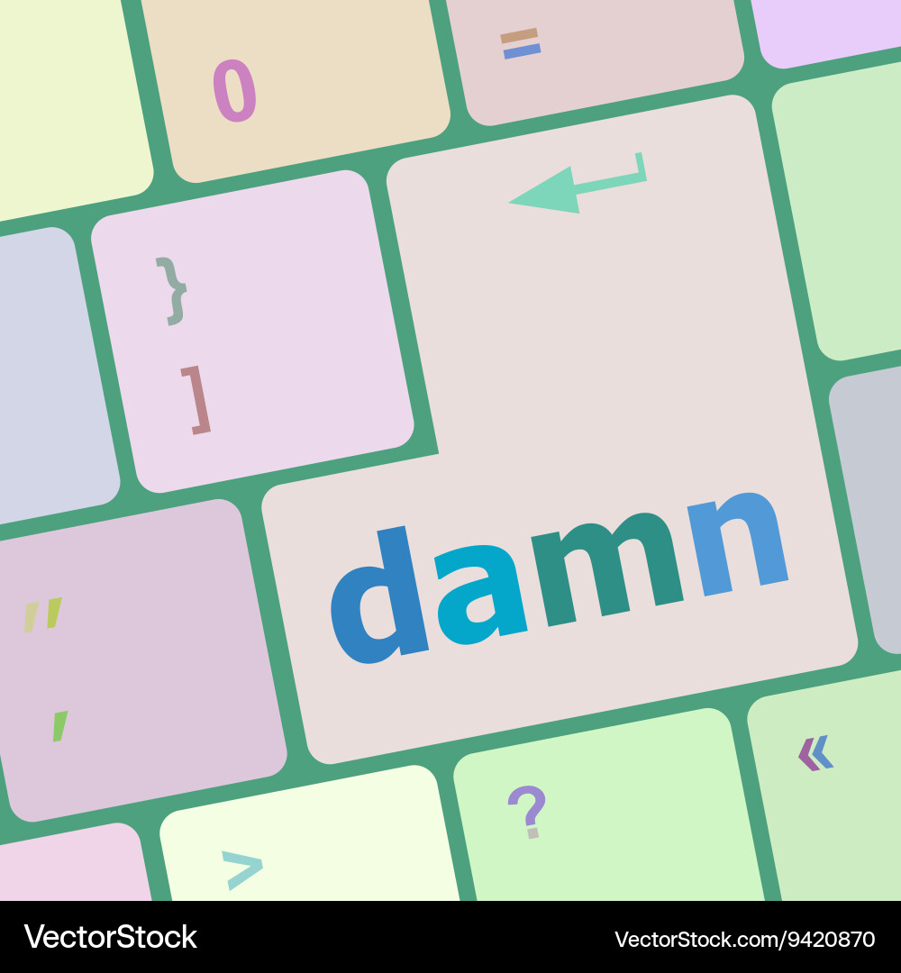 Damn word on computer keyboard key vector image