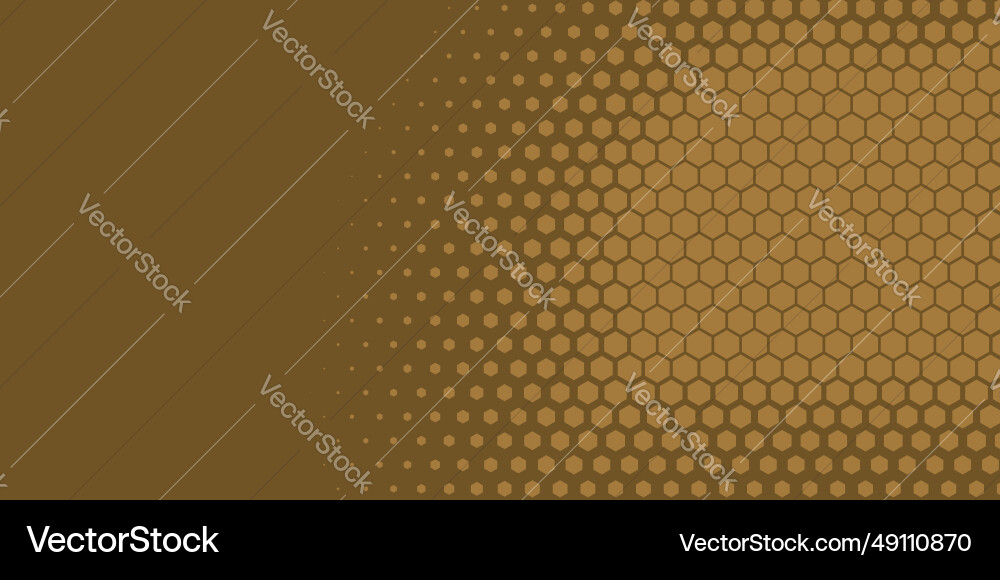 Geometric abstract hexagon two color background Vector Image