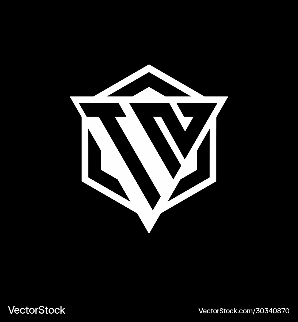 Tn logo monogram with triangle and hexagon shape vector image