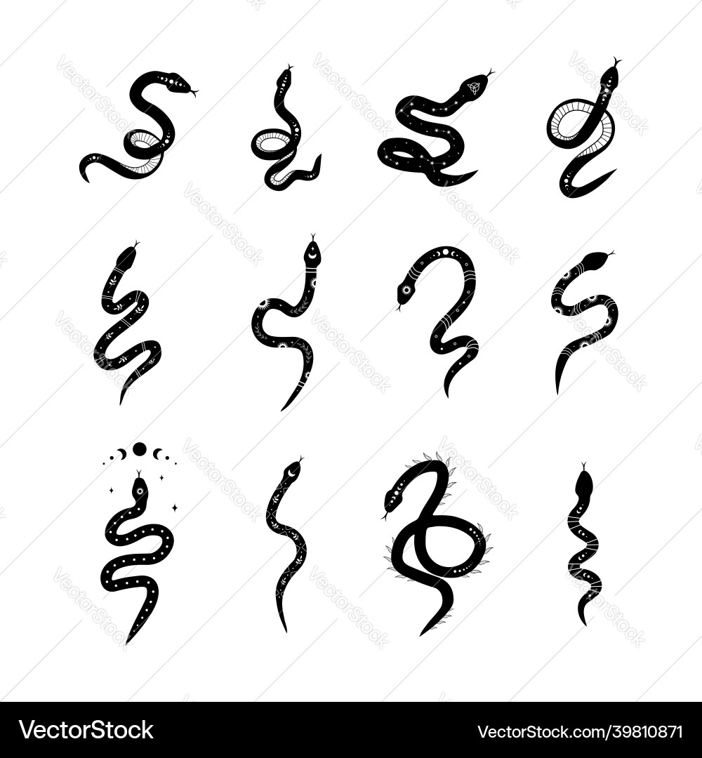 Magic snake in boho style with moon collection Magic snake in boho style with moon collection Vector Image