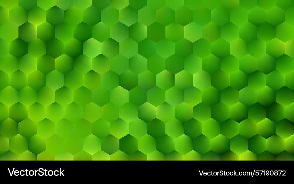 Green hexagon background hexagonal bg Green hexagon background hexagonal bg vector image