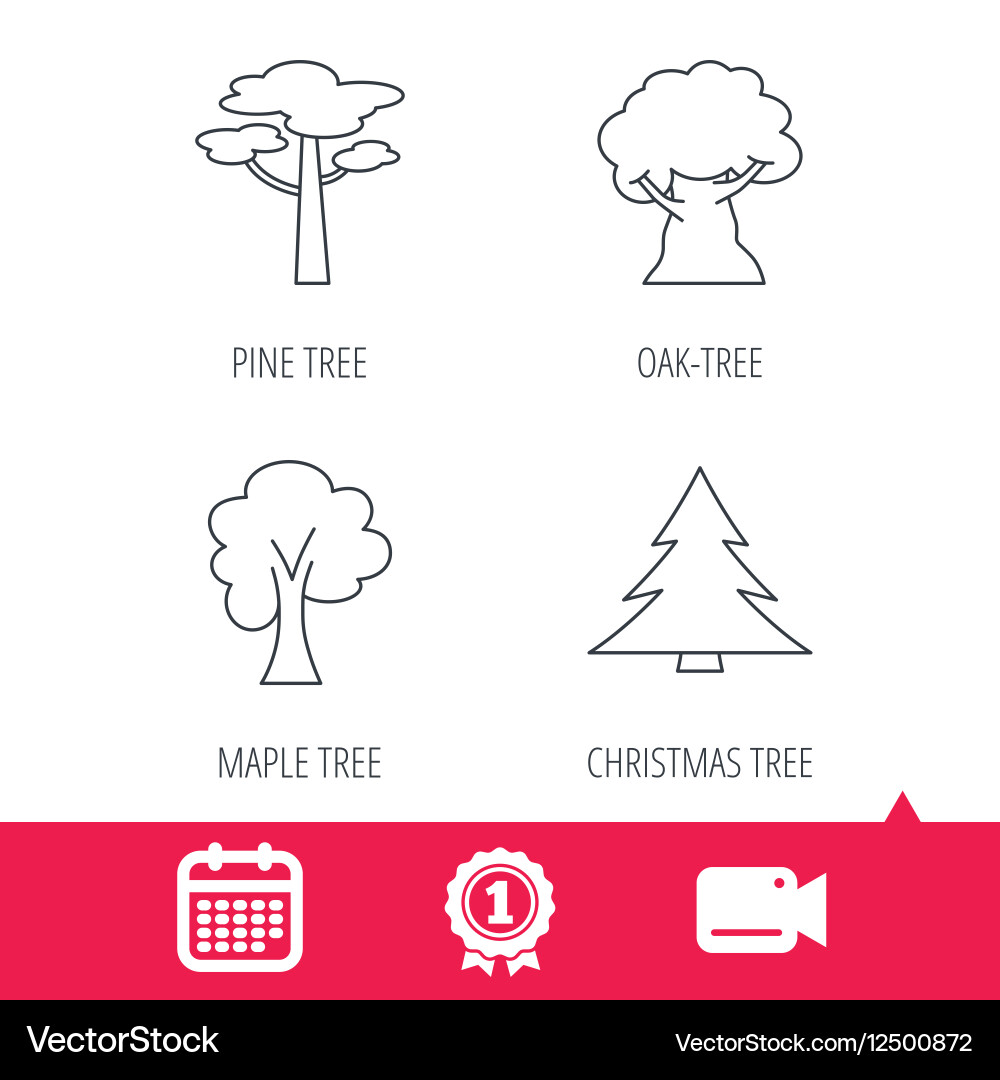 Pine tree maple and oak-tree icons Vector Image
