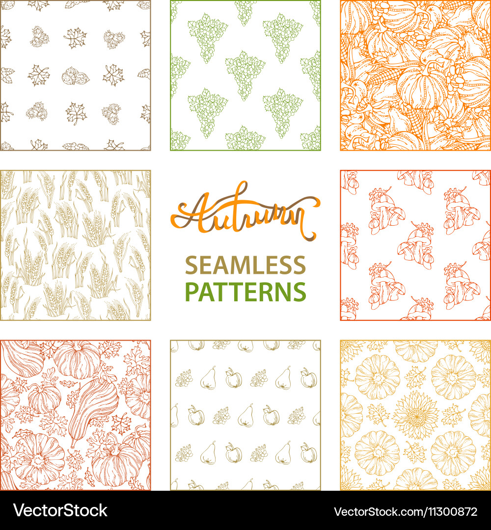 Set of seamless linear autumn patterns vector image