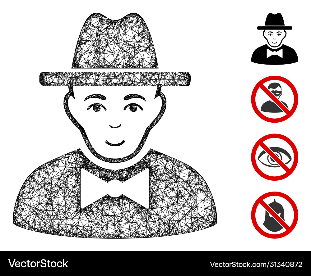 Spy web mesh Spy web mesh vector image