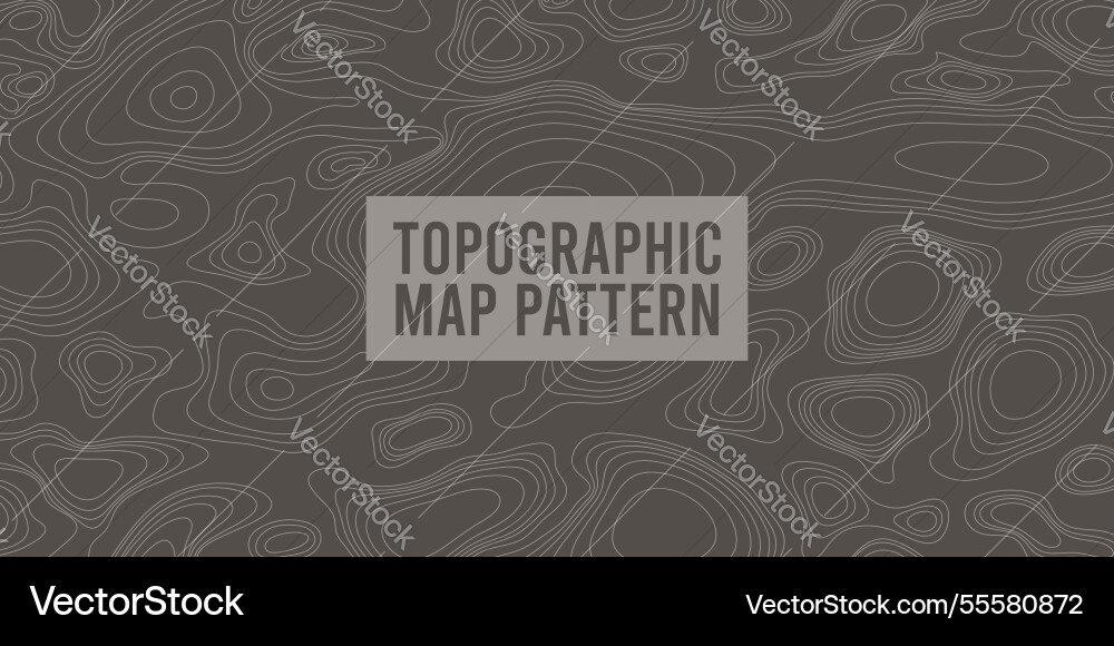 Topographic map pattern background Topographic map pattern background vector image