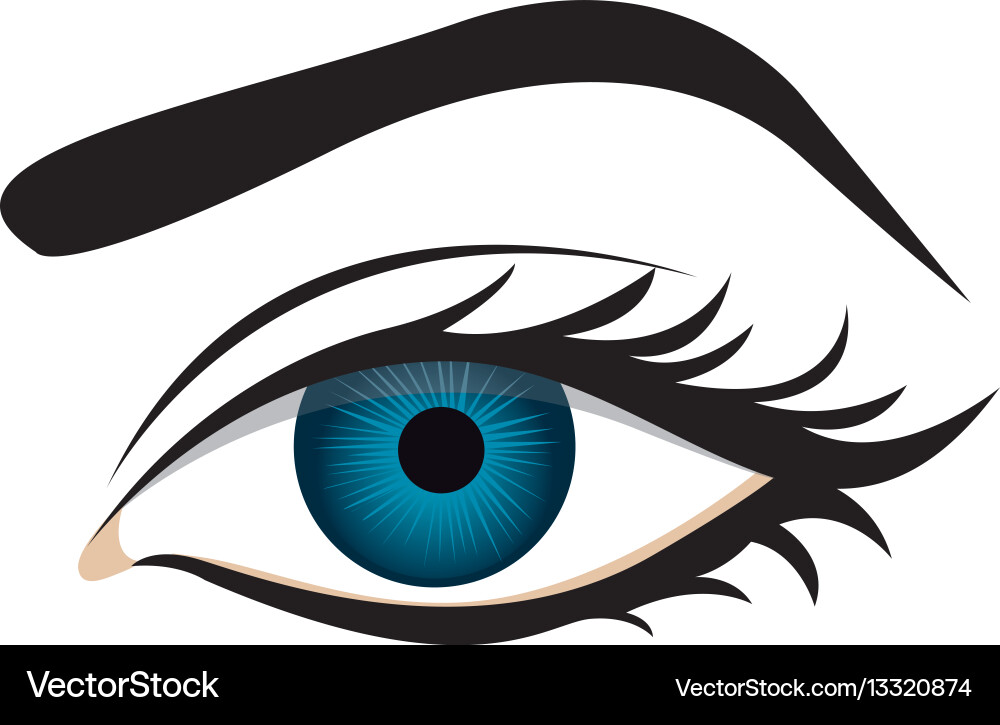 Female Eye Silhouette Vector Image
