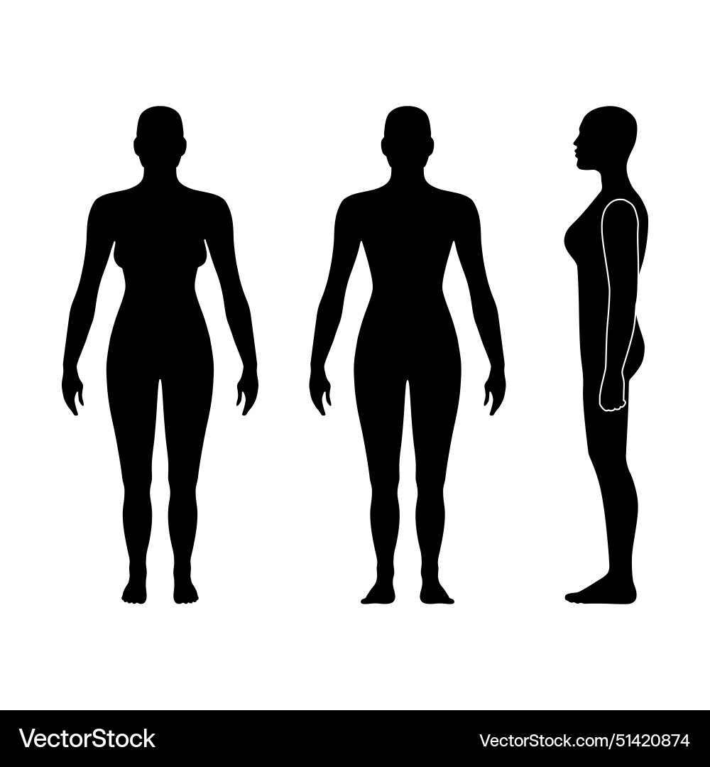 Full length front back side girl view Royalty Free Vector