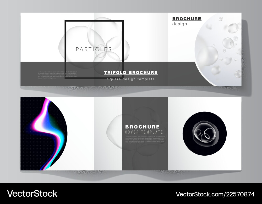 Layout of two square format covers design Layout of two square format covers design vector image