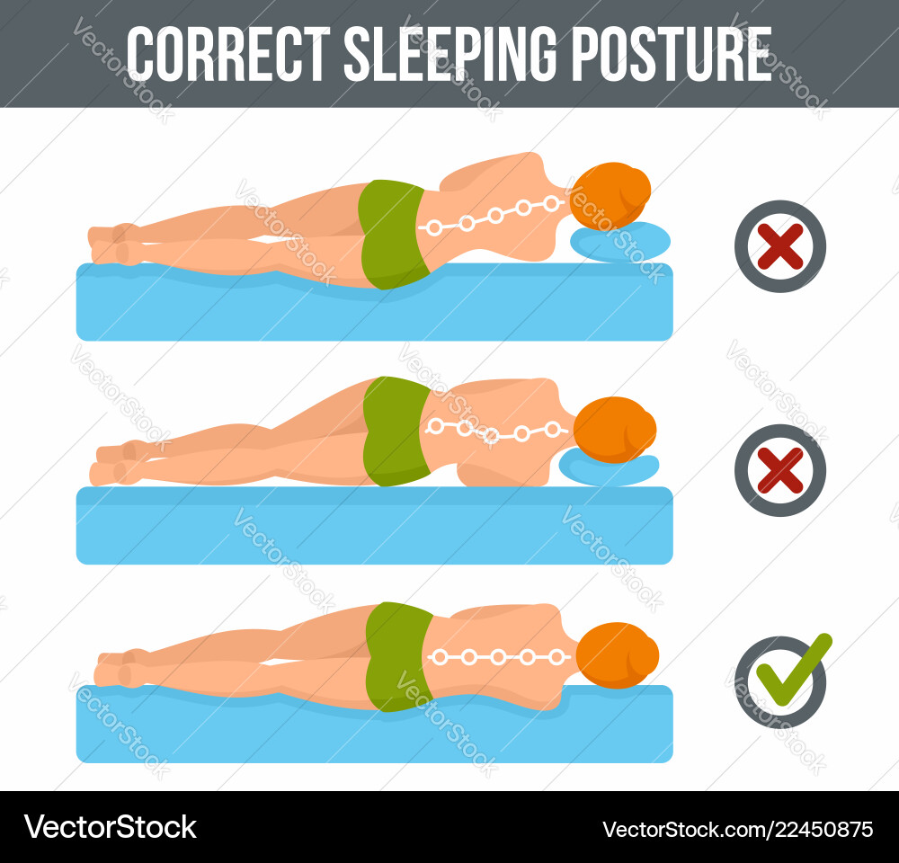 Mattress infographic flat style Mattress infographic flat style vector image