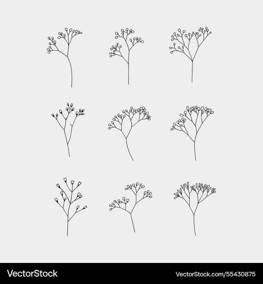 Seamless botanical pattern with delicate Seamless botanical pattern with delicate Vector Image