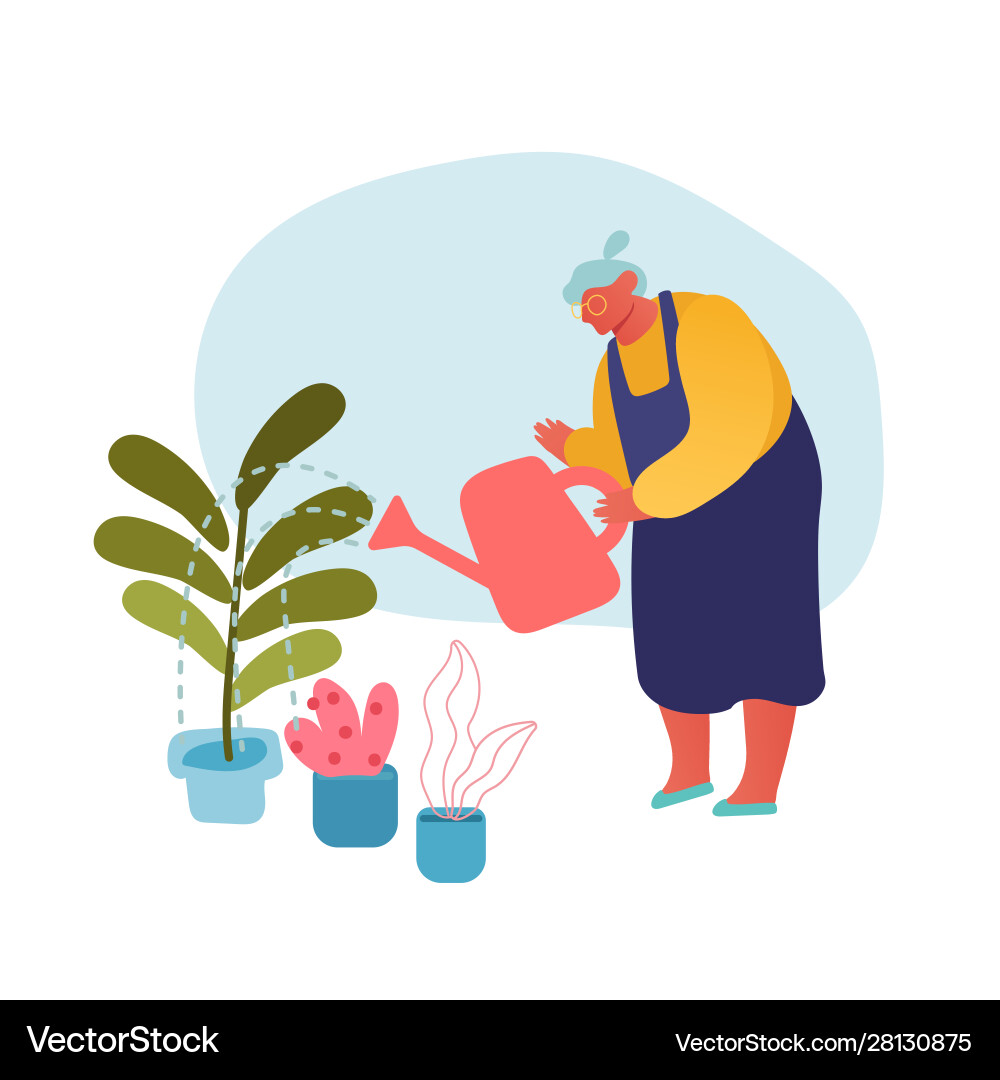 Senior woman gardening hobby aged grey haired Senior woman gardening hobby aged grey haired vector image