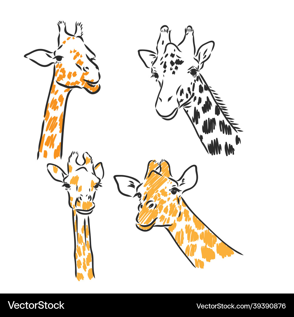 Giraffe - isoliert mit Spots Skizze Giraffe - isoliert mit Spots Skizze vektorbild