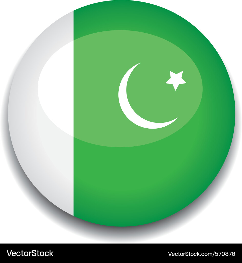 Pakistan Flag Button vector image