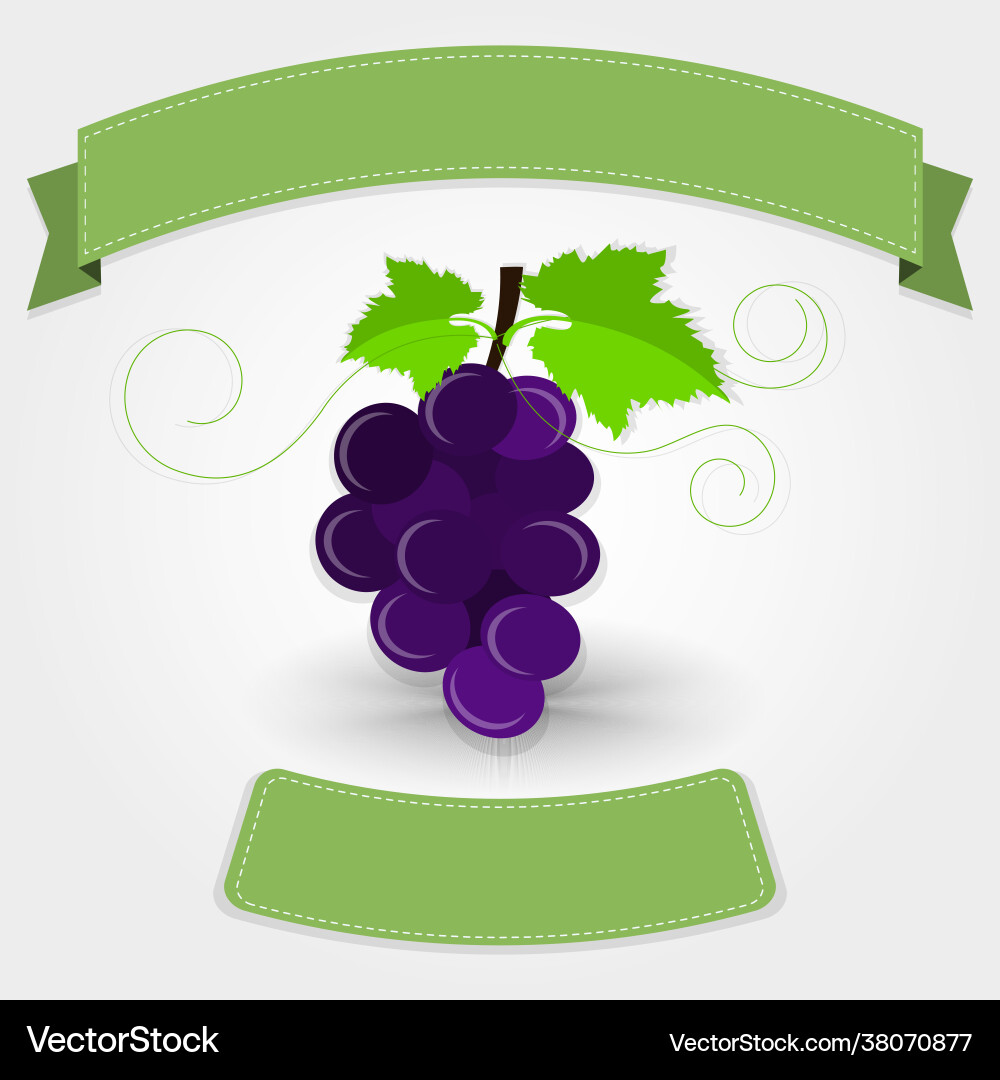 Grape with ribbon Grape with ribbon Vector Image