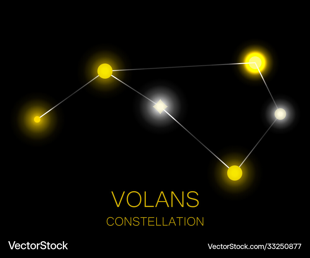 Volans constellation bright yellow stars Volans constellation bright yellow stars vector image