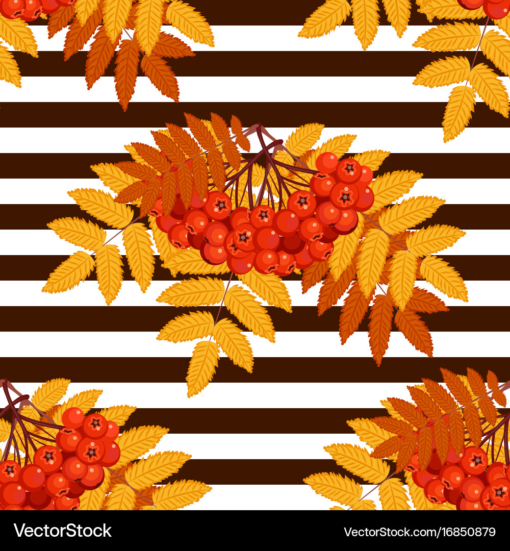 Autumn seamless pattern with rowan vector image
