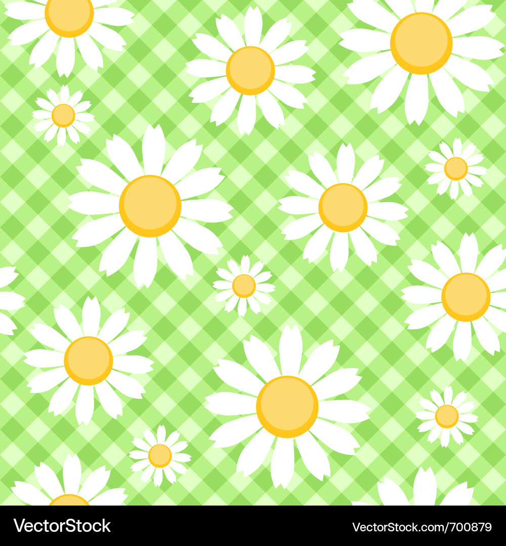 Checkered Chamomile Pattern vector image
