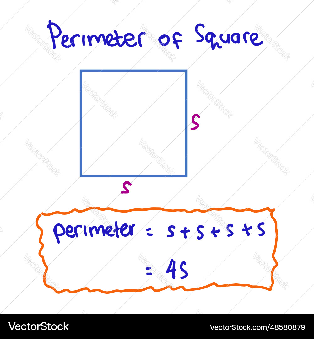 Math formulas on a white background vector image