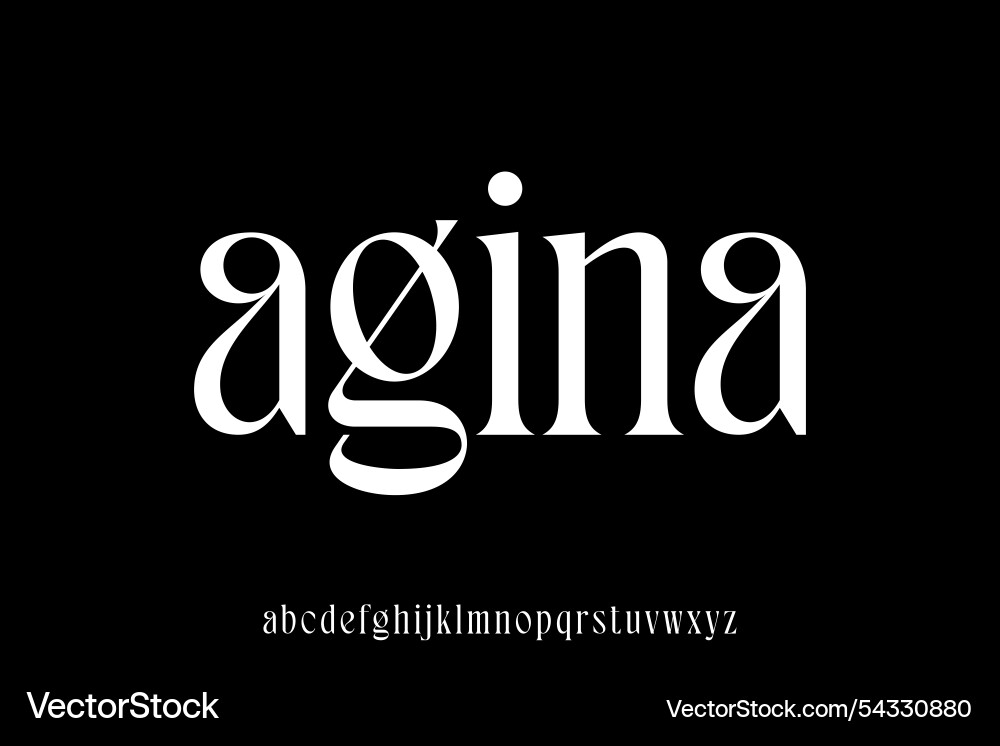 Elegant beautiful serif alphabet display font vector image