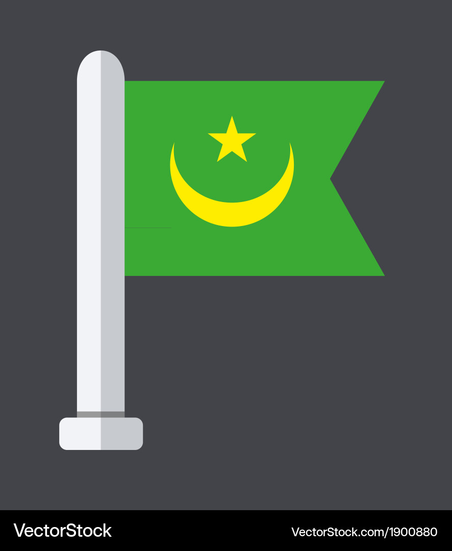 Flat modern flag on sample background Vector Image