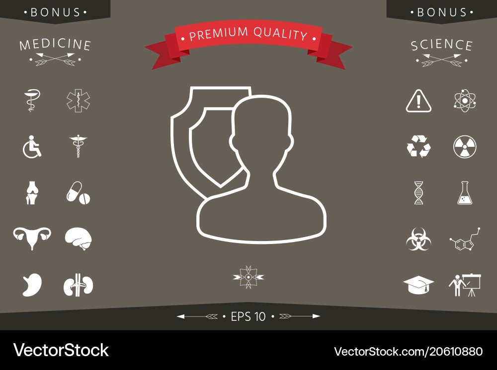 Insurance shield with user - line icon Vector Image