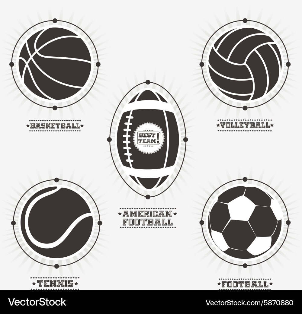 Sports Ball Logos and Badges vector image