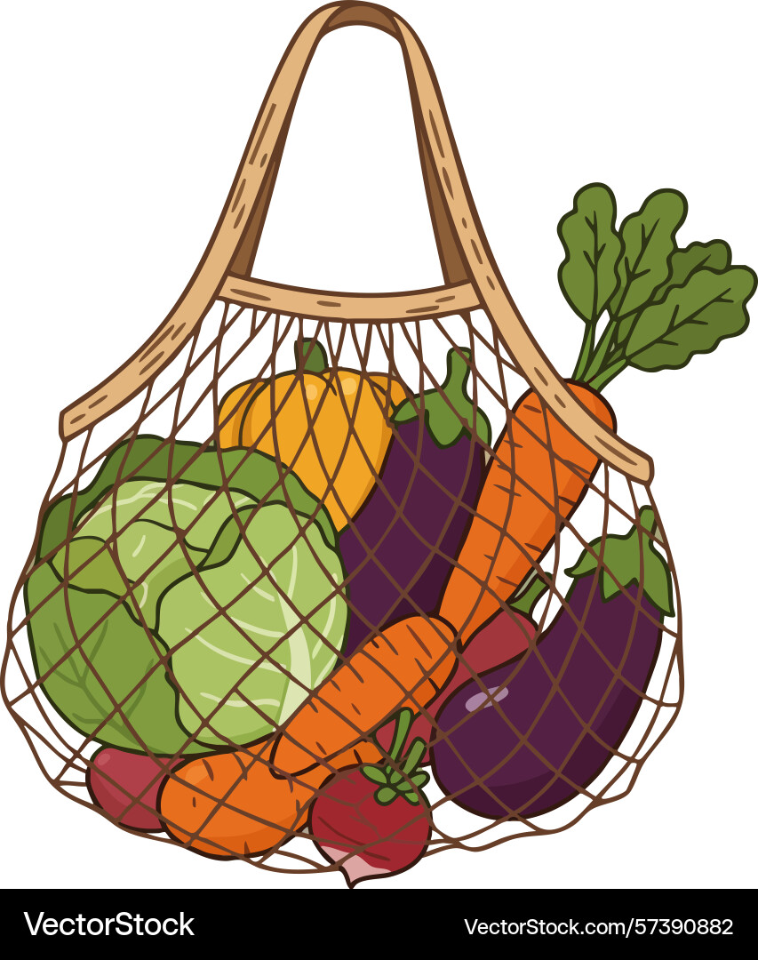Fresh vegetables in reusable net bag with carrots Fresh vegetables in reusable net bag with carrots Vector Image