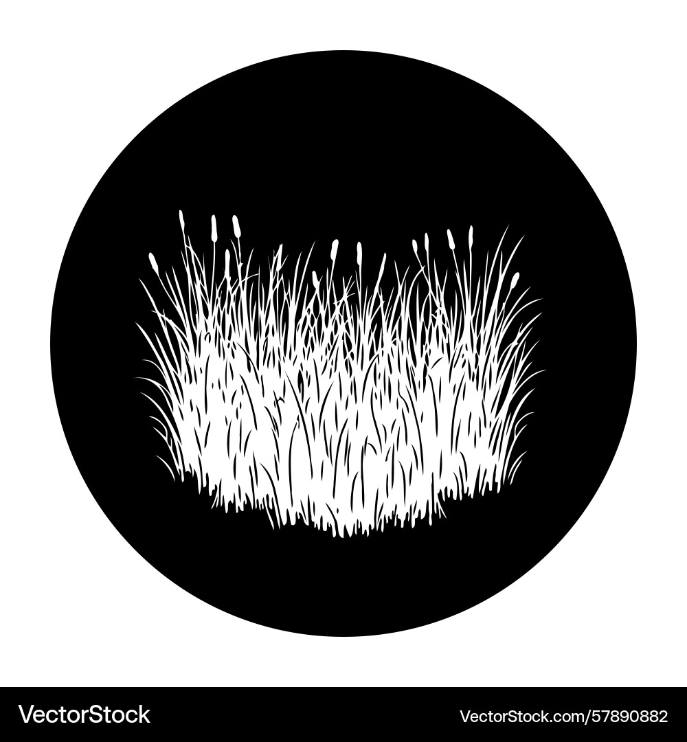 Minimalist cattails in a black circle creating Vector Image