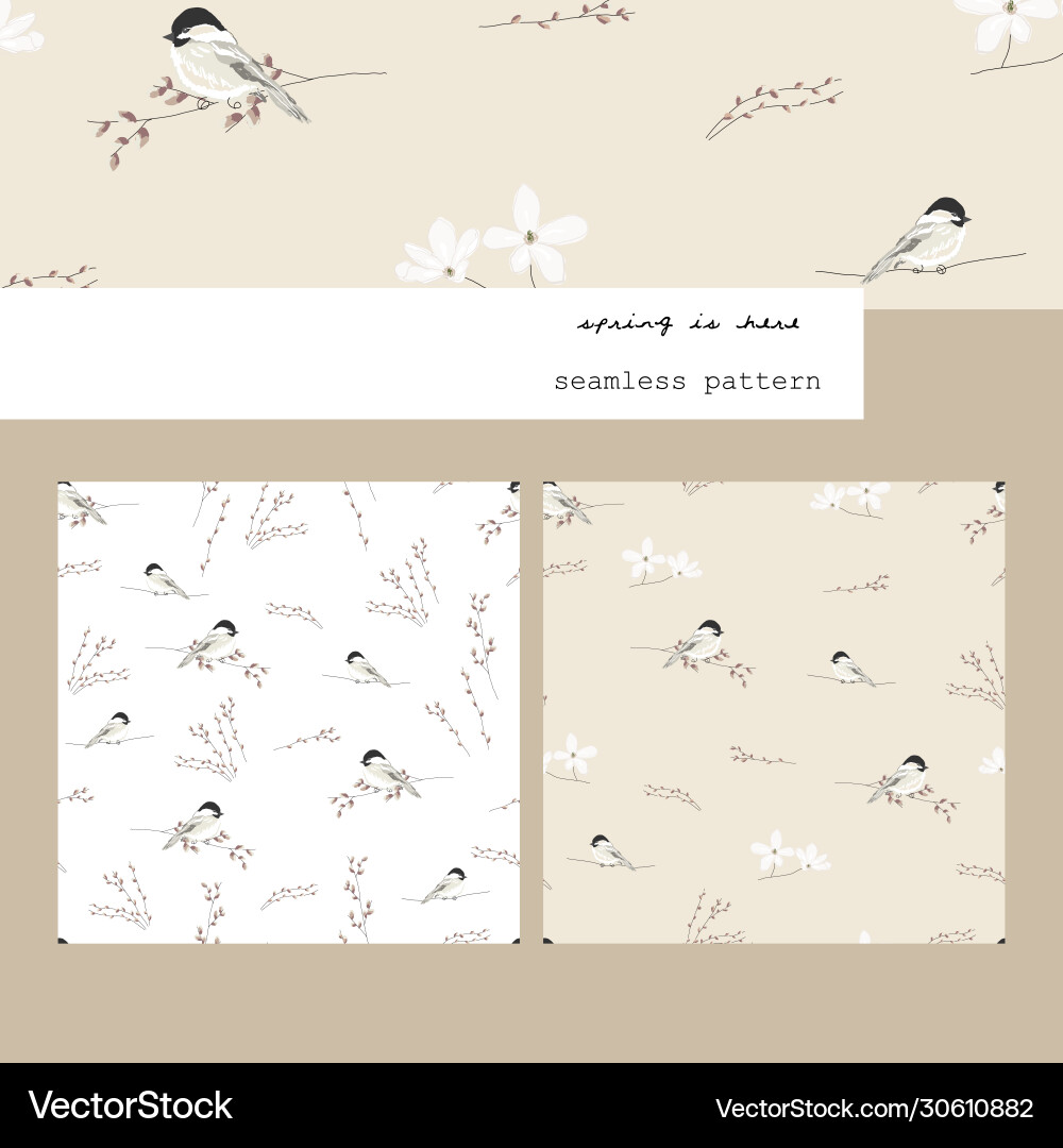 Spring seamless pattern with hand drawn little tit Spring seamless pattern with hand drawn little tit vector image