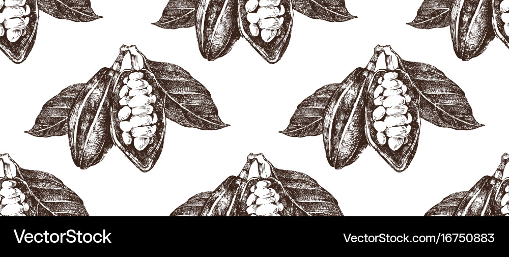 Hand drawn seamless pattern with cocoa beans Vector Image