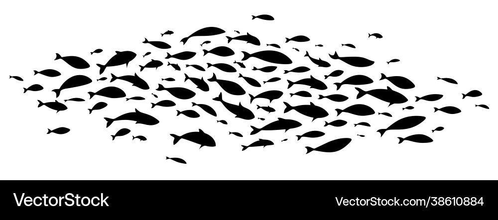 Black large flock fish school vector image