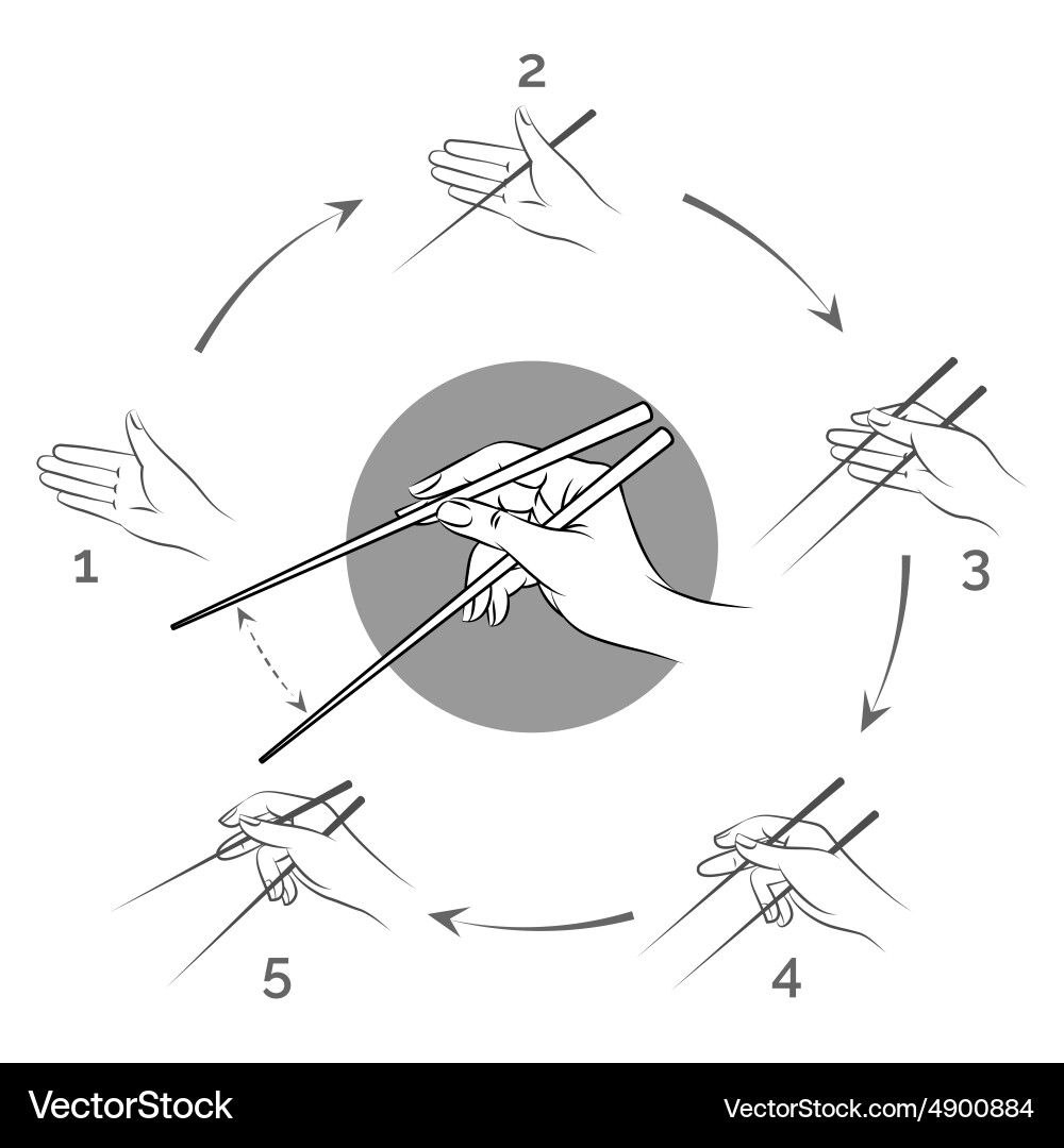 Chopstick Usage Guide Vector Image