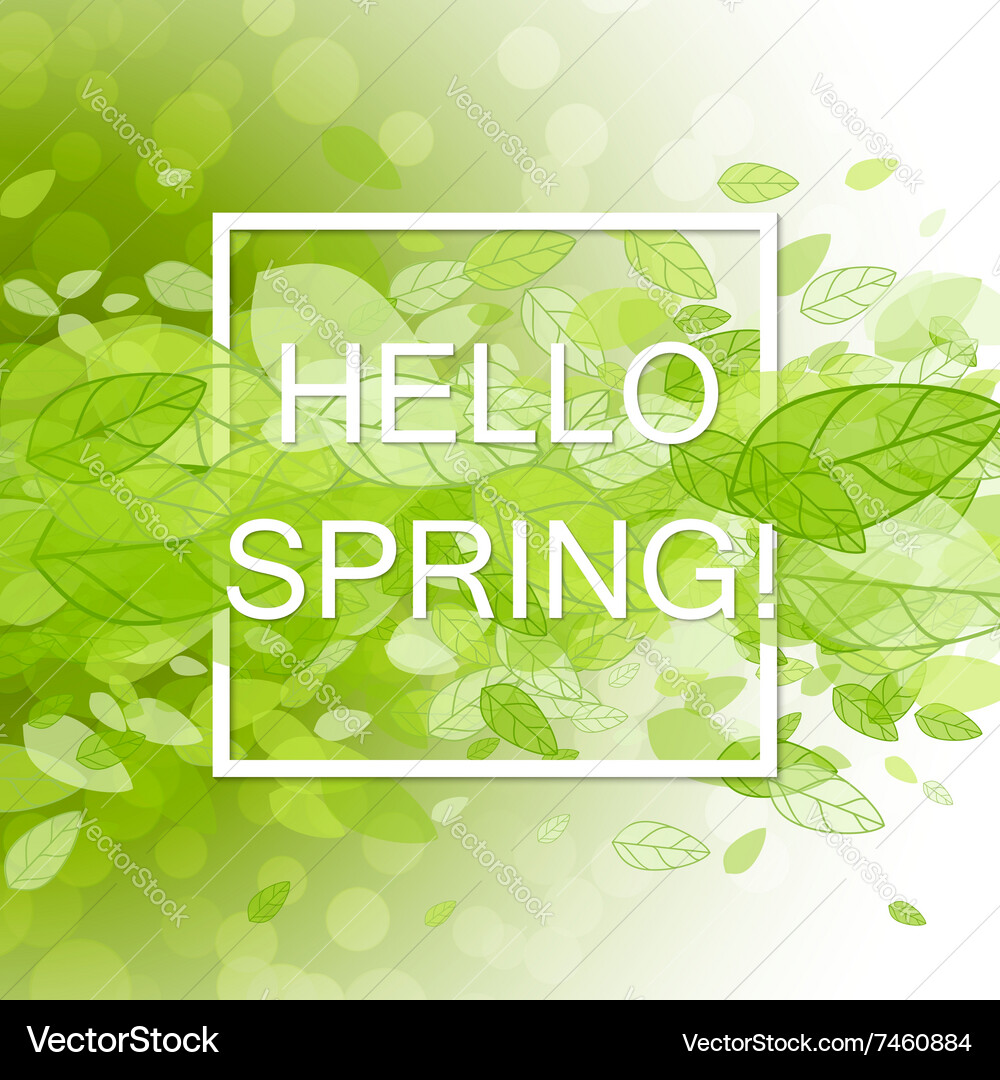 Spring abstract background vector image